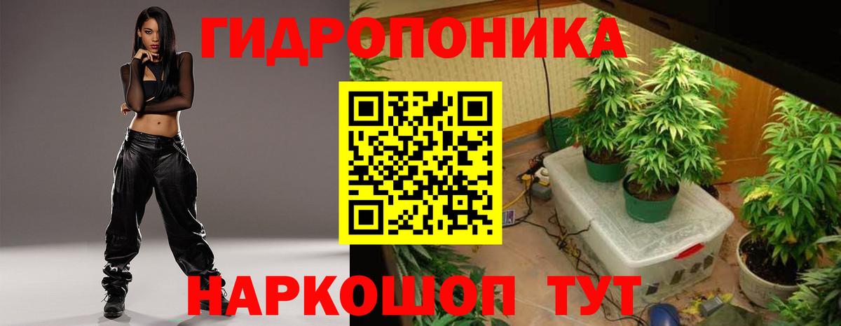 Конопля OG Kush Кохма